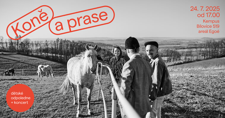 Koňe a prase. Koncert a polepšovna pro děti a rodiče