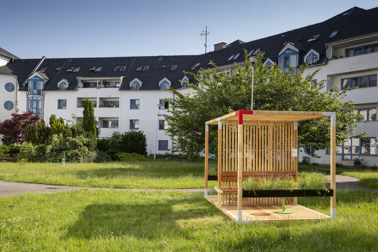 Leva zpříjemňuje život seniorům